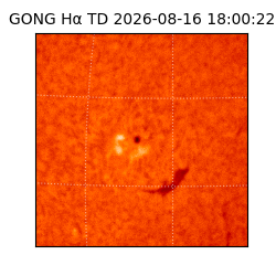gong - 2026-08-16T18:00:22