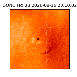 gong - 2026-08-16T20:10:02