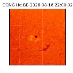 gong - 2026-08-16T22:00:02