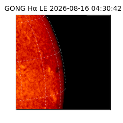 gong - 2026-08-16T04:30:42