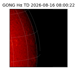 gong - 2026-08-16T08:00:22