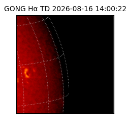 gong - 2026-08-16T14:00:22