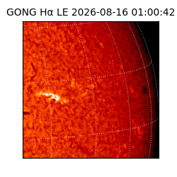 gong - 2026-08-16T01:00:42