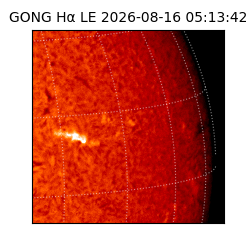 gong - 2026-08-16T05:13:42