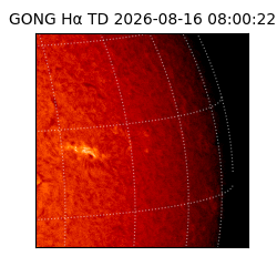 gong - 2026-08-16T08:00:22