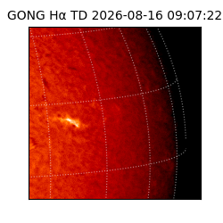 gong - 2026-08-16T09:07:22