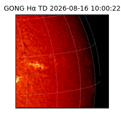 gong - 2026-08-16T10:00:22