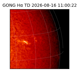 gong - 2026-08-16T11:00:22