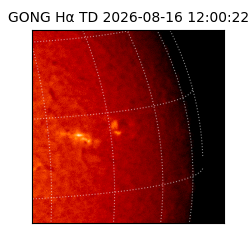 gong - 2026-08-16T12:00:22