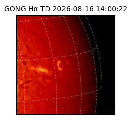 gong - 2026-08-16T14:00:22