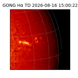 gong - 2026-08-16T15:00:22