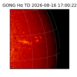 gong - 2026-08-16T17:00:22