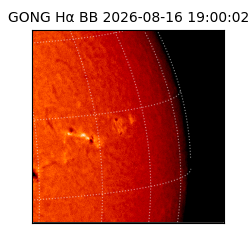 gong - 2026-08-16T19:00:02