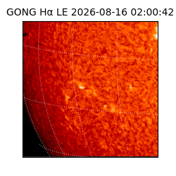 gong - 2026-08-16T02:00:42
