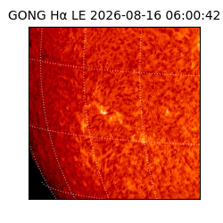 gong - 2026-08-16T06:00:42