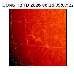gong - 2026-08-16T09:07:22
