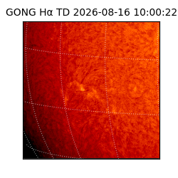 gong - 2026-08-16T10:00:22