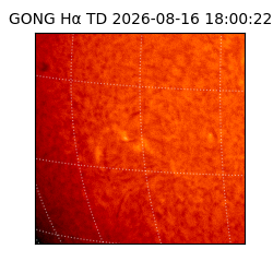 gong - 2026-08-16T18:00:22