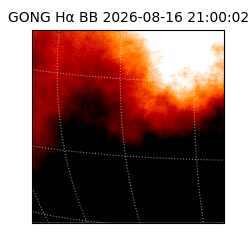 gong - 2026-08-16T21:00:02