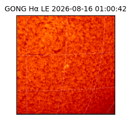 gong - 2026-08-16T01:00:42