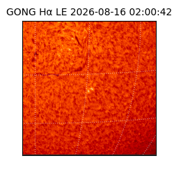 gong - 2026-08-16T02:00:42