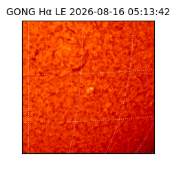 gong - 2026-08-16T05:13:42