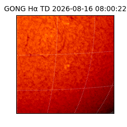gong - 2026-08-16T08:00:22
