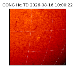 gong - 2026-08-16T10:00:22