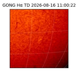 gong - 2026-08-16T11:00:22