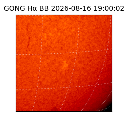gong - 2026-08-16T19:00:02