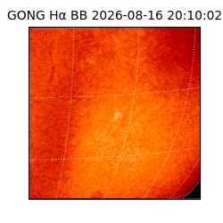 gong - 2026-08-16T20:10:02