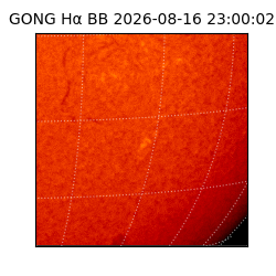 gong - 2026-08-16T23:00:02