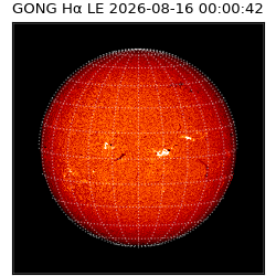 gong - 2026-08-16T00:00:42