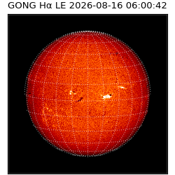 gong - 2026-08-16T06:00:42