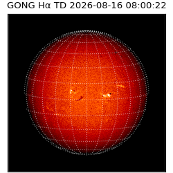 gong - 2026-08-16T08:00:22