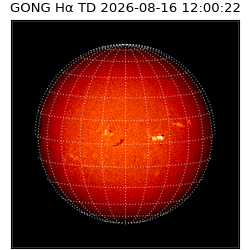 gong - 2026-08-16T12:00:22