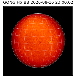 gong - 2026-08-16T23:00:02