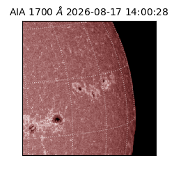 saia - 2026-08-17T14:00:28.717000