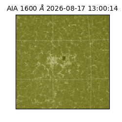 saia - 2026-08-17T13:00:14.123000