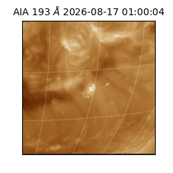 saia - 2026-08-17T01:00:04.842000