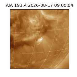 saia - 2026-08-17T09:00:04.842000