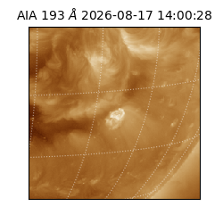 saia - 2026-08-17T14:00:28.842000