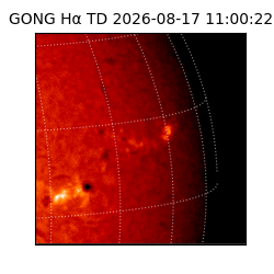 gong - 2026-08-17T11:00:22