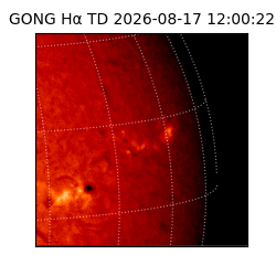 gong - 2026-08-17T12:00:22