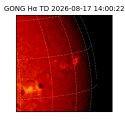 gong - 2026-08-17T14:00:22
