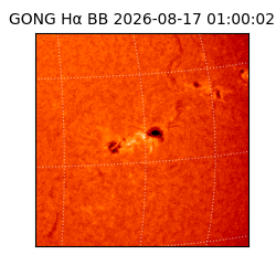 gong - 2026-08-17T01:00:02