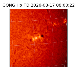 gong - 2026-08-17T08:00:22