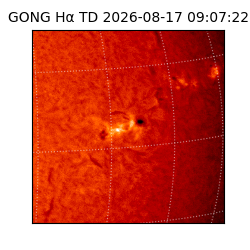 gong - 2026-08-17T09:07:22