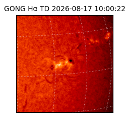 gong - 2026-08-17T10:00:22