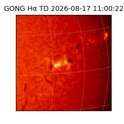 gong - 2026-08-17T11:00:22